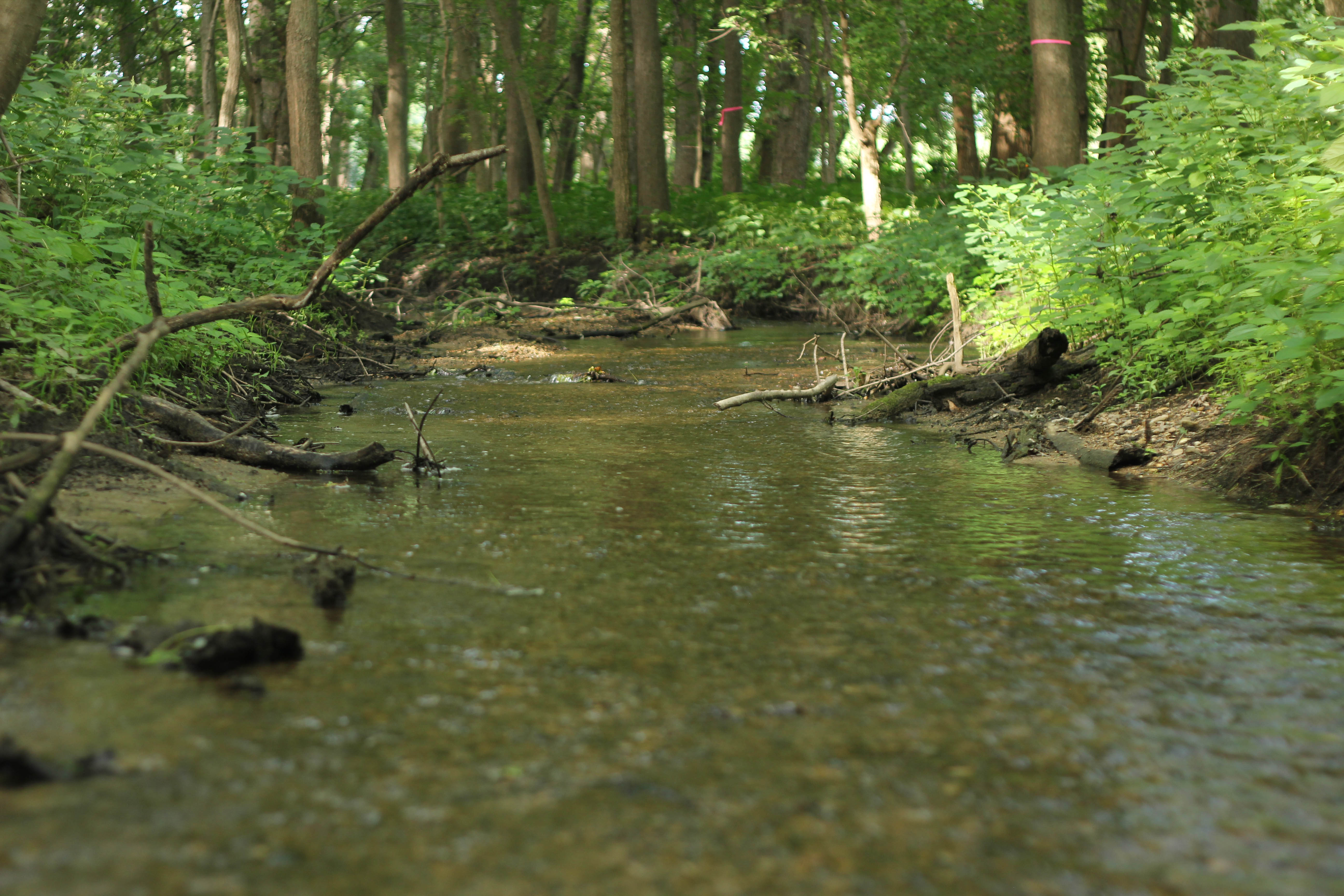 Public Access – Tippecanoe River Run
